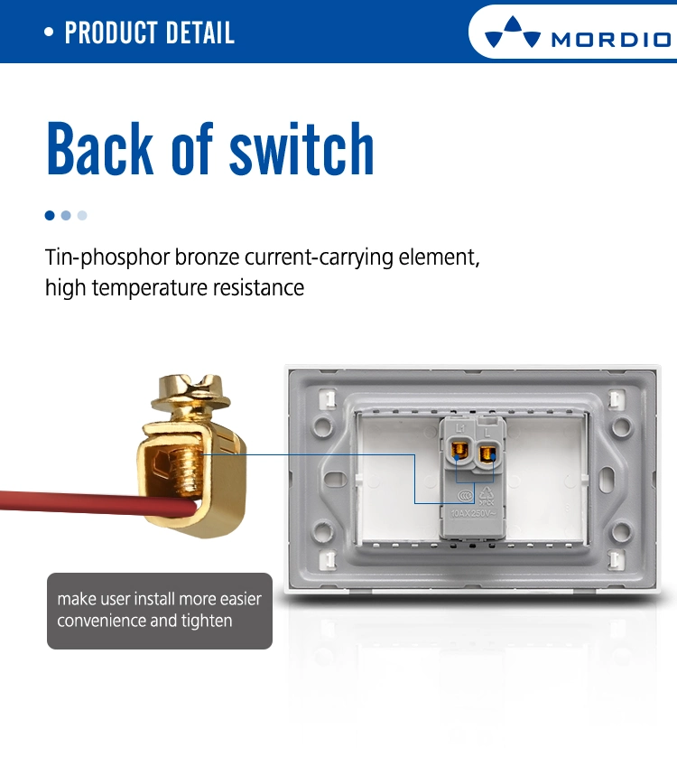 High Grade PC Materials Attractive Price 2 Gang American Socket